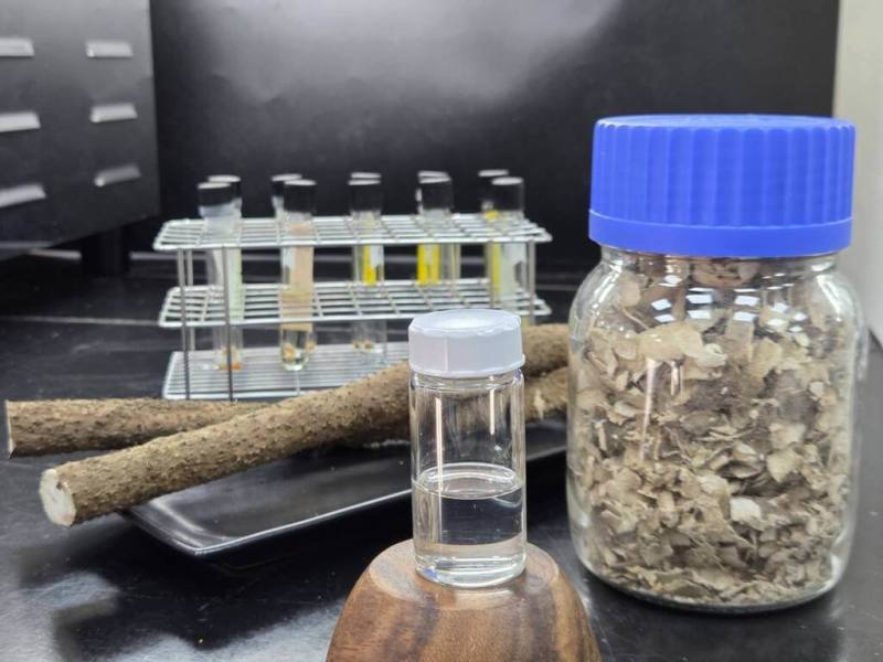 農業部桃園業改良場研究證實，過去未利用的山藥薯皮的尿囊素與總多酚含量優於薯肉，並突破技術，可開發成機能性保健產品。（桃園農改場提供）