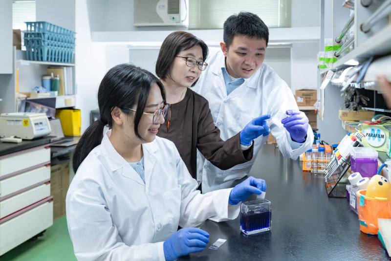 清華大學分醫所教授陳令儀（中）與博士生王翊（右）、廖彣玲（左）組成研究團隊，驗證出「異野漆樹苷」促進神經修復的效果並改善腦損傷小鼠的運動協調能力，成果刊登國際期刊「植物醫學」。（清華大學提供）