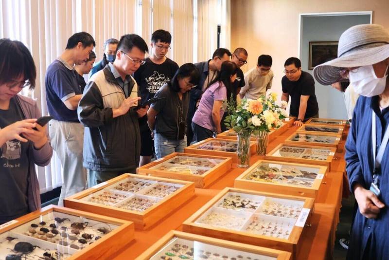 國立自然科學博物館15日舉行日本昆蟲標本蒐藏家沼田康夫昆蟲標本捐贈儀式，現場精選展示沼田康夫捐的標本。（國立自然科學博物館提供）
