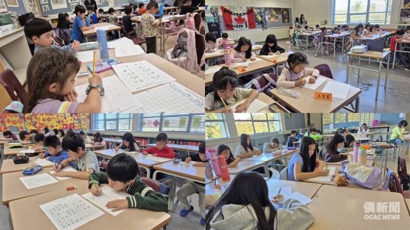 本次活動吸引僑校學生及TCML成人班學員逾300人熱情參與。