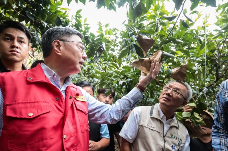 行政院長卓榮泰視察宜蘭縣黃金茂谷災損情形